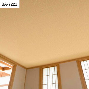 ySiΏۃN[|zzz ǎ ̂t Vɂ߂ȕǎ vol.03 BA7219 BA7220 BA7221 _}XN ؖ ǎŕ̃CeA VR[ rO gC DIY tH[ 