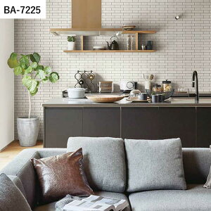 ySiΏۃN[|zzz ǎ ̂Ȃ }eA vol.01 BA7225 BA7226 BA7227 K ubN ^C i` ǎŕ̃CeA VR[ rO gC DIY 