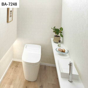 ySiΏۃN[|zzz ǎ ̂t }eA vol.05 BA7248 BA7249 BA7250 ^C K ubN i` ǎŕ̃CeA VR[ rO gC DIY