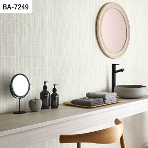 ySiΏۃN[|zzz ǎ ̂t }eA vol.05 BA7248 BA7249 BA7250 ^C K ubN i` ǎŕ̃CeA VR[ rO gC DIY