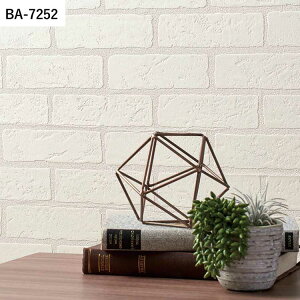 ySiΏۃN[|zzz ǎ ̂t }eA vol.05 BA7248 BA7249 BA7250 ^C K ubN i` ǎŕ̃CeA VR[ rO gC DIY