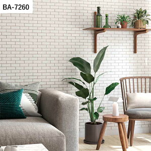 ySiΏۃN[|zzz ǎ ̂t }eA vol.07 BA7258 BA7259 BA7260 ^C i` Vv ǎŕ̃CeA VR[ rO gC DIY tH