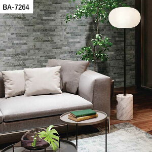 ySiΏۃN[|zzz ǎ ̂t }eA vol.08 BA7263 BA7264 BA7265 Ζ 嗝 Vv ǎŕ̃CeA VR[ rO gC DIY tH[ 