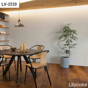 ySiΏۃN[|zzz ǎ ̂t D vol.01 LV-2210 LV-2211 D Vv i` ǎŕ̃CeA J rO gC DIY tH[ ǎ