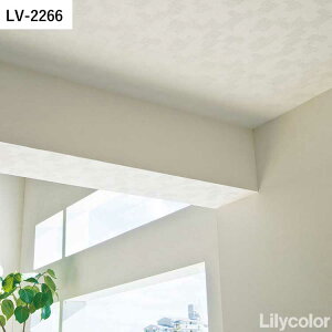 ySiΏۃN[|zzz ǎ ̂t Vɂ߂ȕǎ vol.05 LV-2261 LV-2262 LV-2263 Ζڒ Vv ǎŕ̃CeA J rO gC DIY tH[