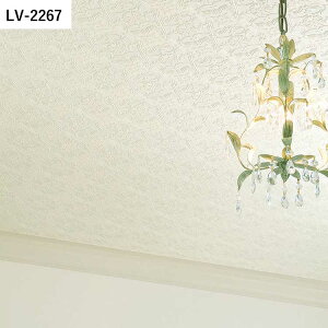 ySiΏۃN[|zzz ǎ ̂t Vɂ߂ȕǎ vol.05 LV-2261 LV-2262 LV-2263 Ζڒ Vv ǎŕ̃CeA J rO gC DIY tH[