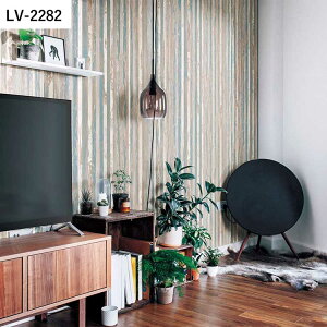 ySiΏۃN[|zzz ǎ ̂t ؖڕ vol.05 LV-2282 LV-2283 ؖ re[W i` tFCN ǎŕ̃CeA J rO gC DIY tH[