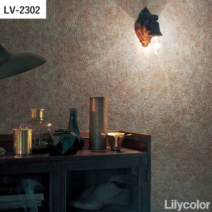 ySiΏۃN[|zzz ǎ ̂t }eA vol.05 LV-2302 LV-2303 Ζڒ AeB[N ǎŕ̃CeA J rO gC DIY tH[ ǎ