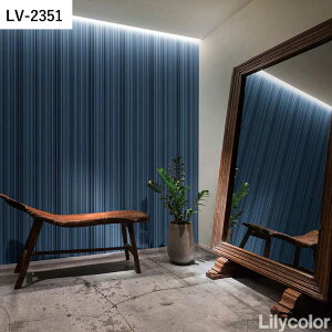 ySiΏۃN[|zzz ǎ ̂t _ vol.02 LV-2351 LV-2352 XgCv _ ǎŕ̃CeA J rO gC DIY tH[ ǎ{