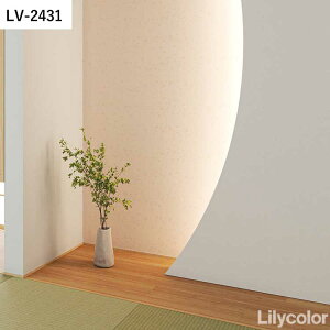 ySiΏۃN[|zzz ǎ ̂Ȃ a vol.03 LV-2430 LV-2431 ǎŕ̃CeA J Řa DIY tH[ ǎ{