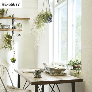 ySiΏۃN[|zzz ǎ ̂t ^CEK vol.05 RE55673 RE55674 RE55675 Vv ^C _ K ǎŕ̃CeA TQc U[u rO g