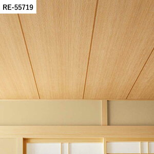 ySiΏۃN[|zzz ǎ ̂Ȃ a vol.06 RE55719 RE55720 ؖ a  ǎŕ̃CeA TQc U[u a rO gC DIY tH[ ǎ
