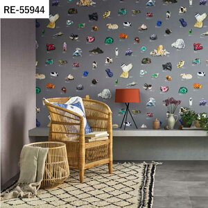 【全品対象クーポン配布中】 壁紙 生のり付き 国立科学博物館 RE55941 RE55942 RE55943 海の生き物 海洋生物 動物 アニマル 植物 岩石 図鑑 壁紙で部屋のインテリアをおしゃれに サンゲツ リザーブ