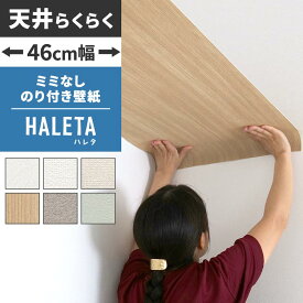 【全品対象クーポン配布中】天井 壁紙 のり付き ミミなし スリット壁紙 【46cm幅】天井 用 壁紙 HALETA ハレタ 白 ホワイト アイボリー グレー ライトブルー 無地 木目 コンクリート 塗り壁調 織物調 吹付調 クロス 天井 壁 トイレ 貼り替え 国産壁紙 壁紙屋本舗