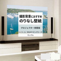 楽天市場】プロジェクター 用 壁紙 はがせるの通販