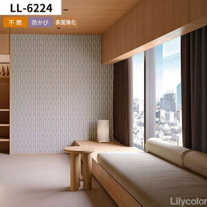 ySiΏۃN[|zzz ǎ I ̂t mPʘaȕ͋Ckioi lǎŕ̃CeA S12 t a x[W bh ubN J̍Yǎ DIY 