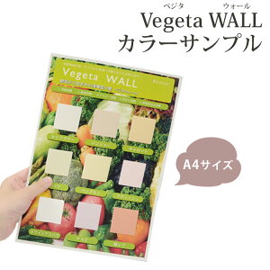 ySiΏۃN[|zzz y[OKz  {{ςݎuxW^EH[(Vegeta WALL)v ̃TvV[g ǎ{