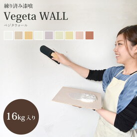 25日30名様20％OFFクーポン 漆喰壁 塗料 壁 壁材 練り済み漆喰(しっくい) 塗り壁 ベジタウォール（Vegeta WALL）16kg 左官 リフォーム 塗装 施工 内装 壁紙屋本舗