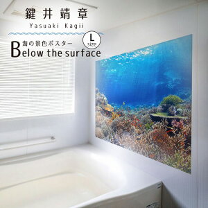 ySiΏۃN[|zzz EH[XebJ[ C̐XebJ[ |X^[ LTCY \Ă͂ OK ǃV[  C̒ CeA   Yasuaki Kagii Sea creatures ǎ{