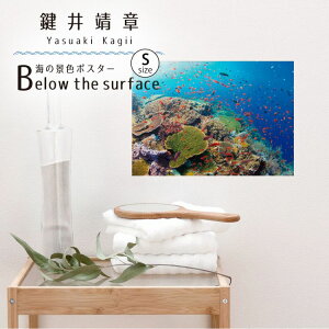 ySiΏۃN[|zzz EH[XebJ[ C̐XebJ[ |X^[ STCY  \Ă͂ OK ǃV[  C̒ CeA   Yasuaki Kagii Sea creatures ǎ