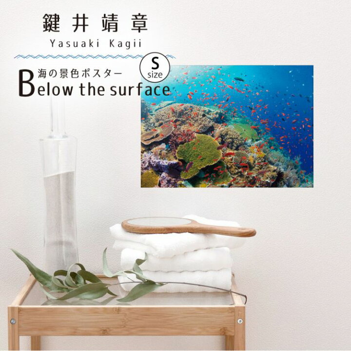 楽天市場 ウォールステッカー 海の生き物ステッカー ポスター Sサイズ 特大 貼ってはがせる 賃貸ok 壁シール 浴室 海の中 インテリア 鍵井 靖章 Yasuaki Kagii Sea Creatures 壁紙屋本舗 壁紙屋本舗 カベガミヤホンポ