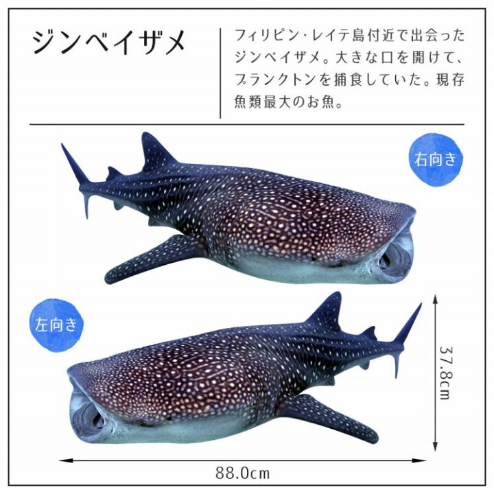 ウォールステッカー 海の生き物ステッカー Llサイズ 賃貸ok 壁紙屋本舗 特大 Kagii Yasuaki Sea 貼ってはがせる 鍵井 浴室 壁シール 海の中 靖章 インテリア Creatures