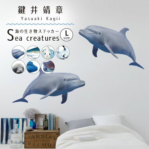 ySiΏۃN[|zzz EH[XebJ[ C̐XebJ[ LTCY \Ă͂ OK ǃV[  C̒ CeA   Yasuaki Kagii Sea creatures ǎ{