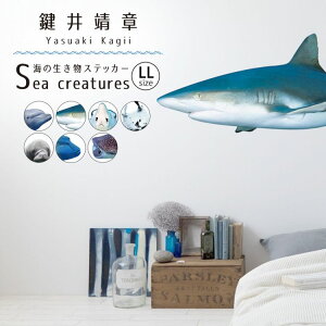 ySiΏۃN[|zzz EH[XebJ[ C̐XebJ[ LLTCY  \Ă͂ OK ǃV[  C̒ CeA   Yasuaki Kagii Sea creatures ǎ{
