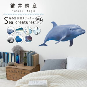 ySiΏۃN[|zzz EH[XebJ[ C̐XebJ[ MLTCY \Ă͂ OK ǃV[  C̒ CeA   Yasuaki Kagii Sea creatures ǎ{