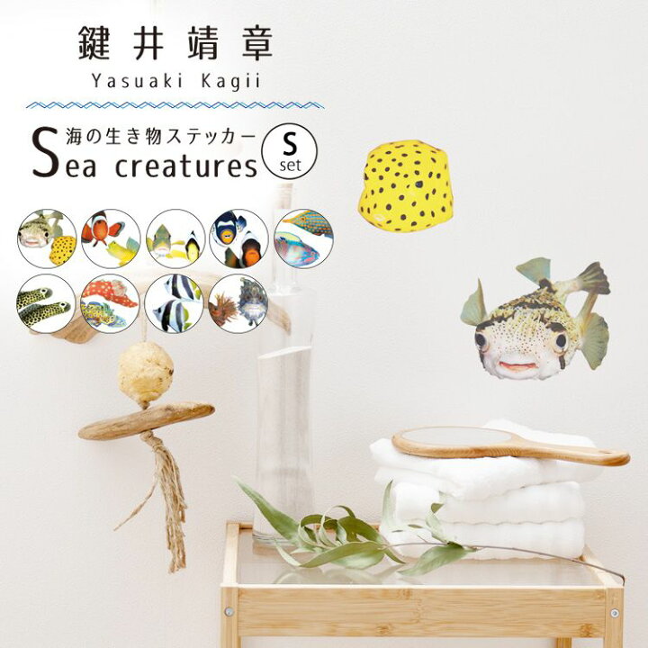 楽天市場 ウォールステッカー 海の生き物ステッカー Sサイズ セット 貼ってはがせる 賃貸ok 壁シール 浴室 海の中 インテリア 鍵井 靖章 Yasuaki Kagii Sea Creatures 壁紙屋本舗 壁紙屋本舗 カベガミヤホンポ