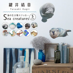 ySiΏۃN[|zzz EH[XebJ[ C̐XebJ[ STCY \Ă͂ OK ǃV[  C̒ CeA   Yasuaki Kagii Sea creatures ǎ{
