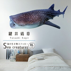 ySiΏۃN[|zzz EH[XebJ[ C̐ XebJ[ WxCU XLTCY  \Ă͂ OK  V[  C̒ CeA   Yasuaki Kagii Sea creature