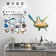 【最大25％クーポン配布中】 ウォールステッカー 海の生き物ステッカー Mサイズ 貼ってはがせる 賃貸OK …