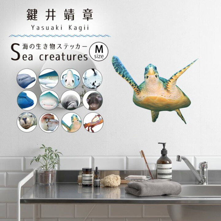 楽天市場 ウォールステッカー 海の生き物ステッカー Mサイズ 貼ってはがせる 賃貸ok 壁シール 浴室 海の中 インテリア 鍵井 靖章 Yasuaki Kagii Sea Creatures 壁紙屋本舗 壁紙屋本舗 カベガミヤホンポ