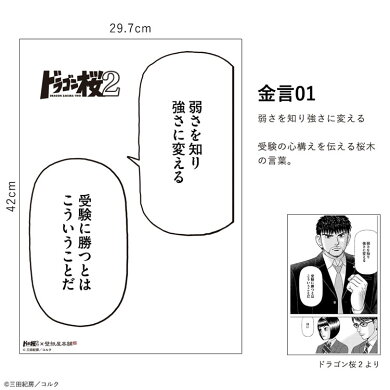 楽天市場 5 23 7 15限定販売 ドラゴン桜コラボ 貼ってはがせる 金言ふきだし ウォールステッカー 全6デザイン A3サイズ 壁紙屋本舗 壁紙 屋本舗 カベガミヤホンポ
