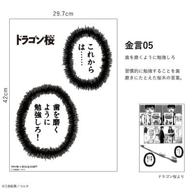 楽天市場 5 23 7 15限定販売 ドラゴン桜コラボ 貼ってはがせる 金言ふきだし ウォールステッカー 全6デザイン A3サイズ 壁紙屋本舗 壁紙 屋本舗 カベガミヤホンポ