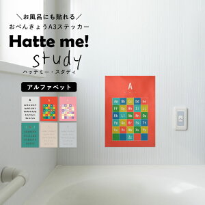 ySiΏۃN[|zzz \Ă͂ |X^[XebJ[ EH[XebJ[ Hatte me Study nbe~[X^fBiA3TCYj At@xbg rOɓ\ĂƎv ǎ