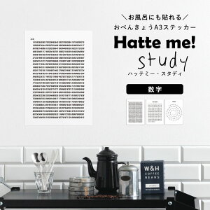 ySiΏۃN[|zzz \Ă͂ |X^[XebJ[ EH[XebJ[ Hatte me Study nbe~[X^fBiA3TCYj  rOɓ\ĂƎv ǎ{ y[