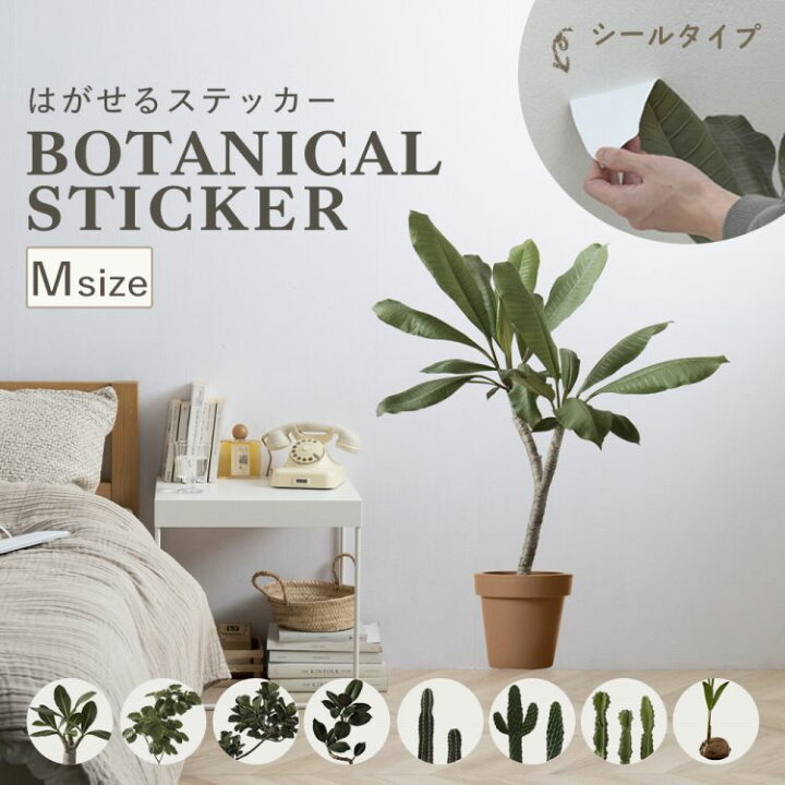 楽天市場】貼ってはがせる 植物ステッカー Mサイズ ウォールステッカー 