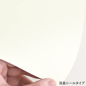 ySiΏۃN[|zzz ӂ CNV[g n Jbg Tv A4 TCY  f @ V[ ӂ܎ L fn