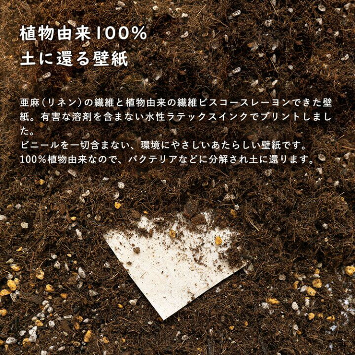 楽天市場 Flax Art Poster Encyclopaedia フラックス アートポスター エンサイクロペディア ファブリックポスター 亜麻 リネン 32cm 45cm 3枚セット 花 植物 ボタニカル 蝶 野菜 果物 リンゴ 壁紙屋本舗 壁紙屋本舗 カベガミヤホンポ