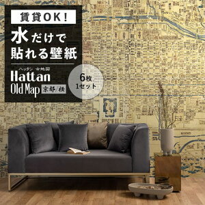 ySiΏۃN[|zzz ŉx\͂ ǎ OK ̂t͂ ~[ ǎ 8 45cm × 45cm G} Hattan OldMap nb^ Òn} s^   \ ǎ 