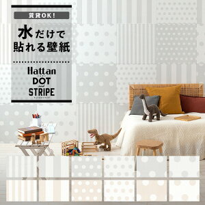 ySiΏۃN[|zzz ŉx\͂ ǎ OK ̂t͂ pb`[N ǎ 6 45cm × 45cm  {[_[ Hattan Dot & Stripe nb^ hbg XgCv 