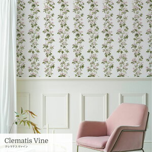 ySiΏۃN[|zzz }XLOe[v L ͂ ǎ S҂ł₷}Xeoœ\ǎC[W[EH[e[v 23cm×6m Clematis N}`X Sian Zeng ԕ  