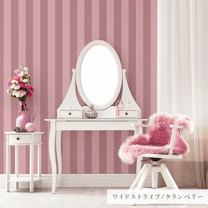 ySiΏۃN[|zzzwȂX[T[tx͂ V[ ǎ NX  XgCv  {[_[  49cm×2.5m  CNV[g  sN u[ O[ 킢 