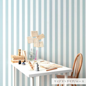 ySiΏۃN[|zzzwȂX[T[tx͂ V[ ǎ NX  XgCv  {[_[  49cm×3m  CNV[g  sN u[ O[ 킢 J