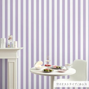 ySiΏۃN[|zzzwȂX[T[tx͂ V[ ǎ NX  XgCv  {[_[  49cm×2.5m  CNV[g  sN u[ O[ 킢 