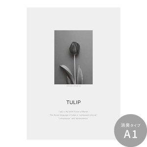 ySiΏۃN[|zzz ͂o[Xf[A[g|X^[ NbV[t[ L V[^Cv A2 A3 Room No.0  mg[ CeA  Vv  DIY ǎ{