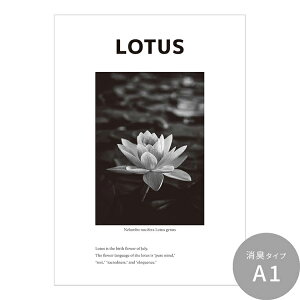 ySiΏۃN[|zzz ͂o[Xf[A[g|X^[ [ht[ L V[^Cv A2 A3 Room No.0  mg[ CeA  Vv  DIY ǎ{