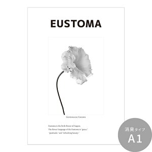 ySiΏۃN[|zzz ͂o[Xf[A[g|X^[ [ht[ L V[^Cv A2 A3 Room No.0  mg[ CeA  Vv  DIY ǎ{
